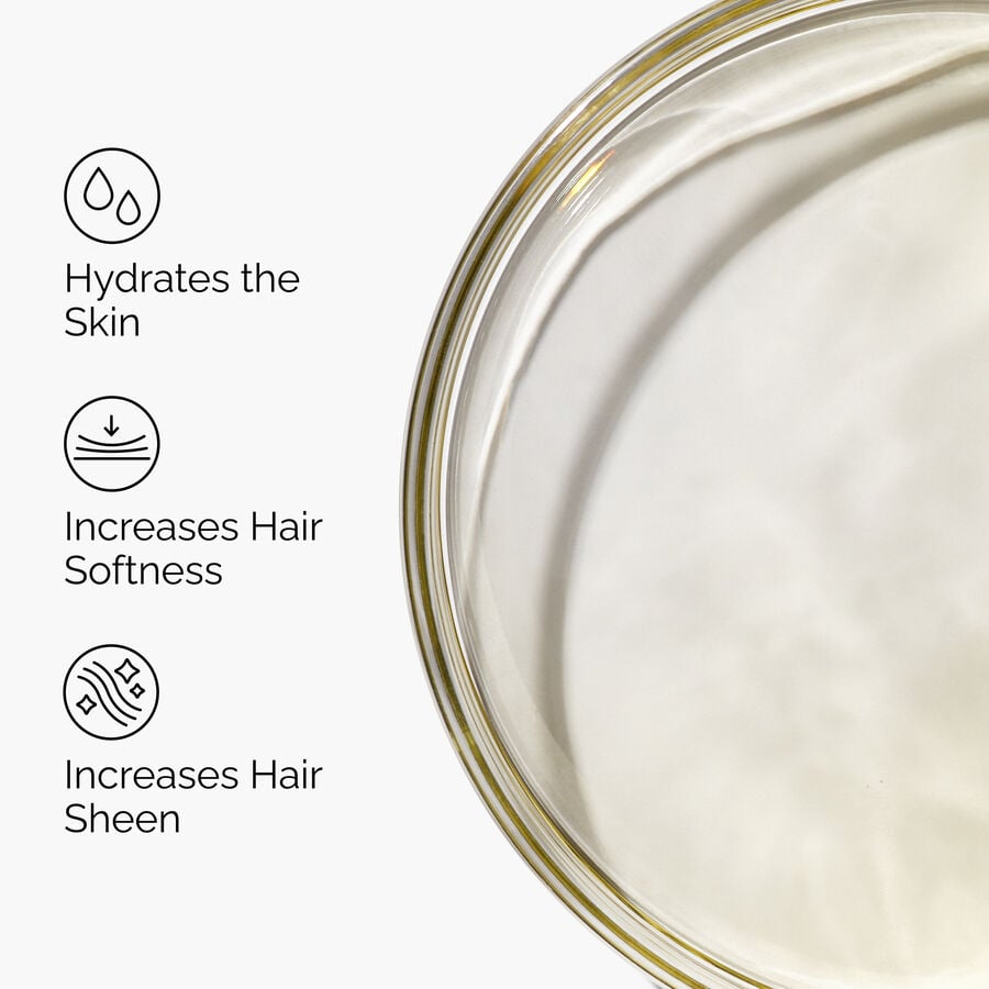 100-organic-cold-pressed-moroccan-argan-oil-s8 FY25-D41247-ORD-Web-PDP-100-Argan-Oil-1x1-EN-3.jpg