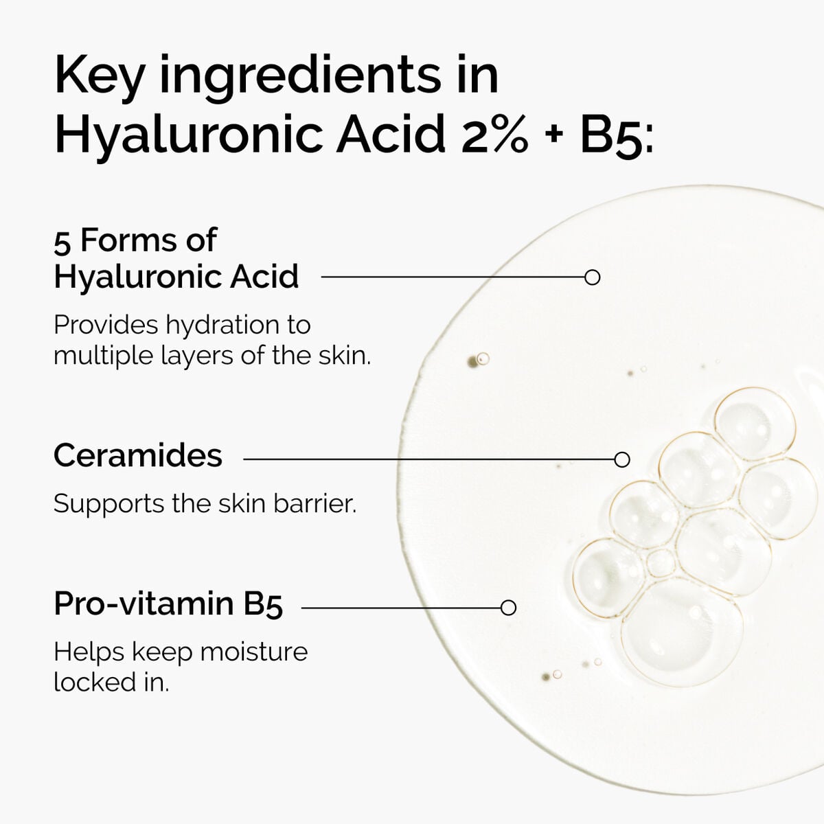 hyaluronic-acid-2-b5-with-ceramides-l5 ord-hyaluronic-acid-2pct-b5-hydrating-serum-ingredients-graphic.jpg
